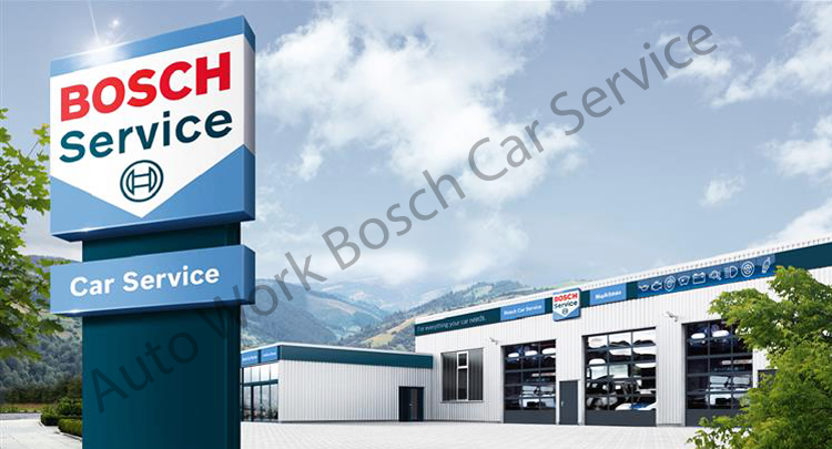 Auto Work Hakkında